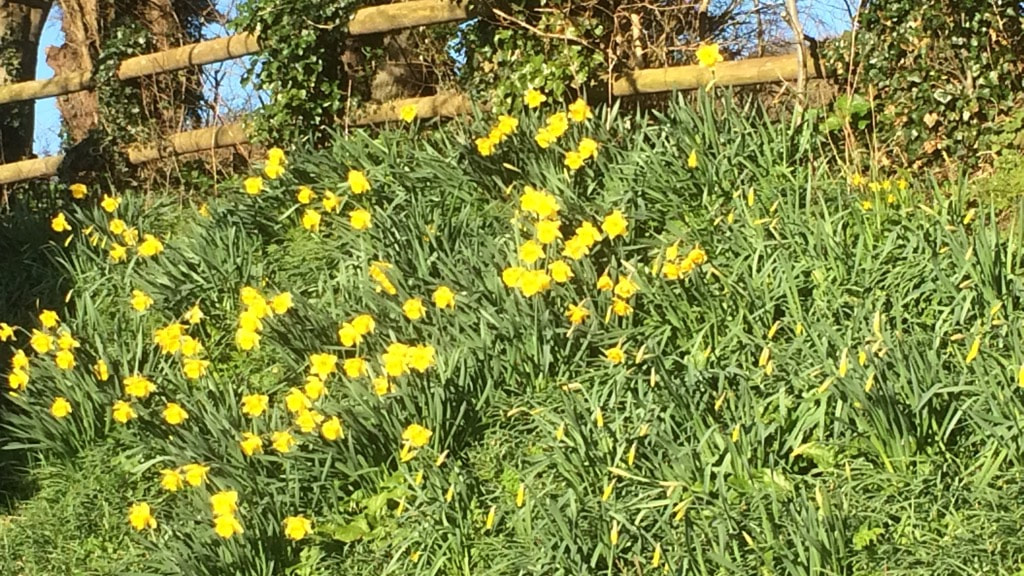 B65728AC-4691-4536-ACBD-1E445299A774